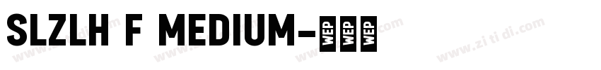 SLZLH F Medium字体转换